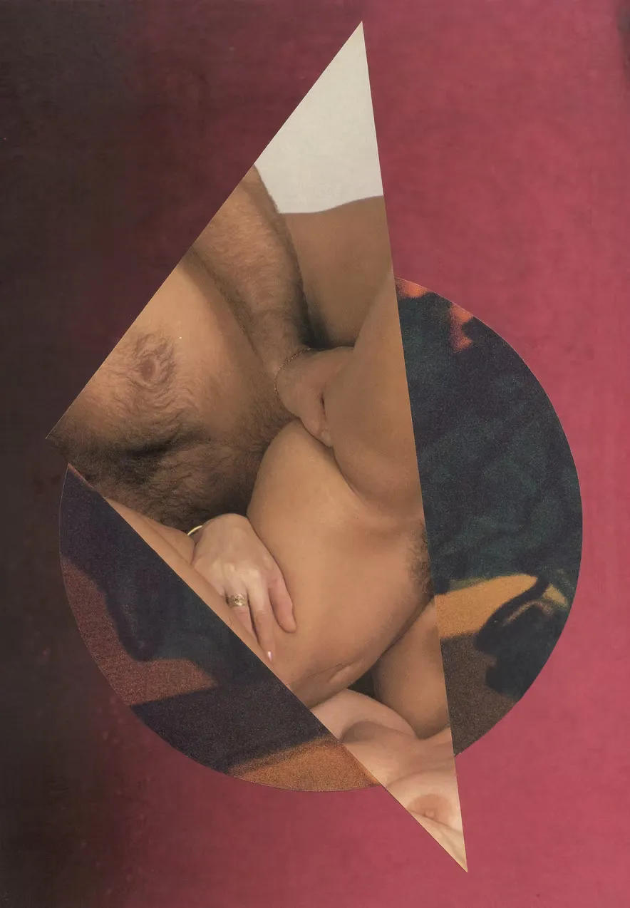 Mixed media collage with multiple, partially visible nude figure, no visible faces, geometric shapes, on a colored background.